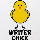 Writer Chick